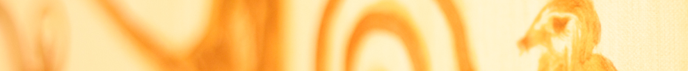 drschneider-_MG_6404-2.jpg